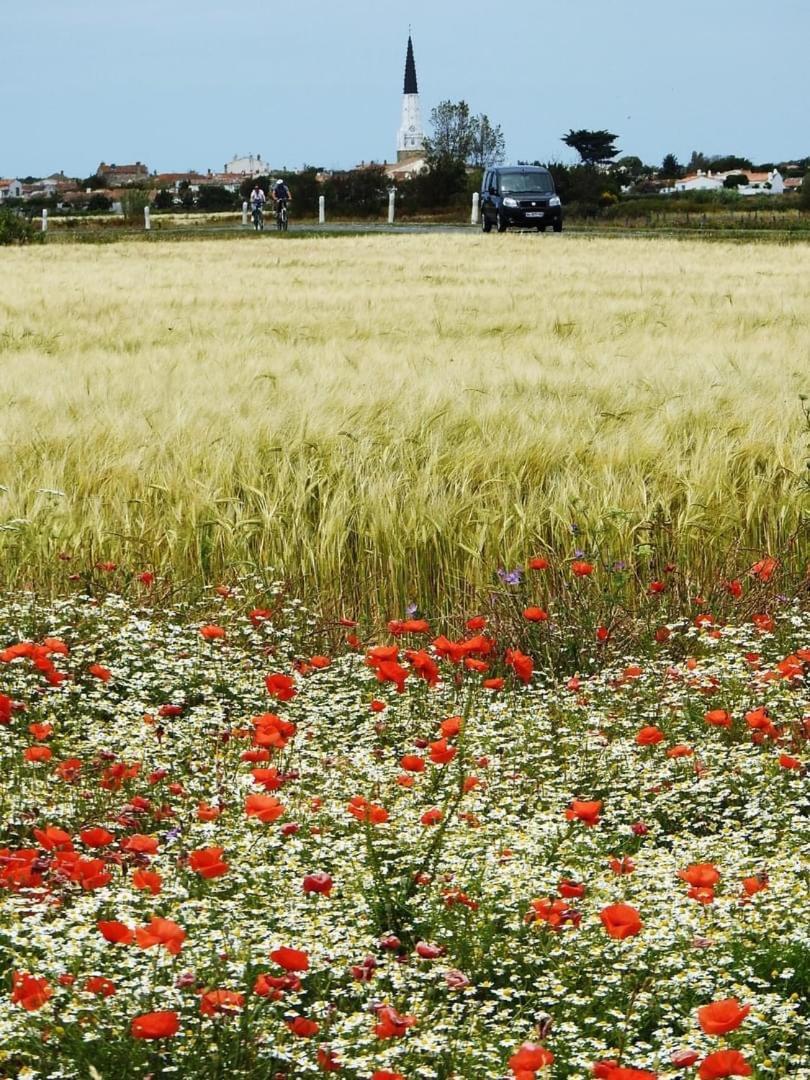 Petite Maison Dans Le Jardin アル・アン・レ エクステリア 写真